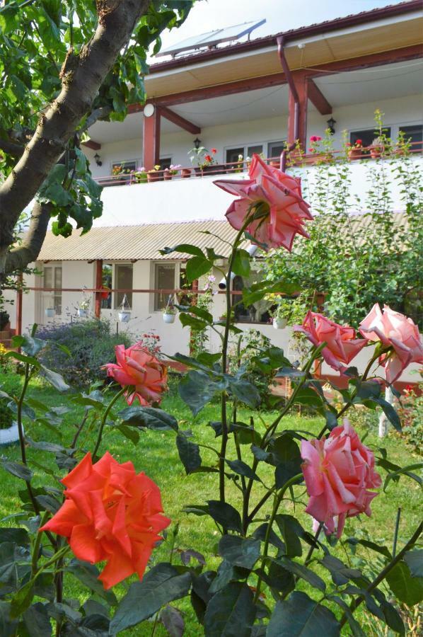 Casa Gia Otel Costinești Dış mekan fotoğraf